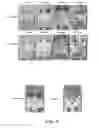 Fig. 04 - Antifouling composition