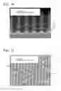 Fig. 07 - Antifouling composition
