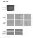 Fig. 10 - Antifouling composition