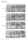 Fig. 12 - Antifouling composition