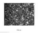 Fig. 15 - Polymer derived ceramic effects particles, uses and methods of making