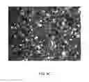 Fig. 17 - Polymer derived ceramic effects particles, uses and methods of making