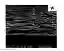 Fig. 01 - Coating layers of a nanocomposite comprising a nano-cellulose material and nanoparticles