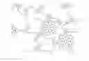 Fig. 01 - High performance brine viscosifier