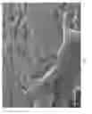 Fig. 06 - Self-suspending proppants for hydraulic fracturing