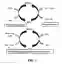 Fig. 04 - CATALYTIC BIOMASS PYROLYSIS PROCESS