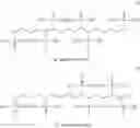 Fig. 23 - Phosphono paraffins