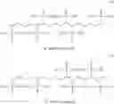 Fig. 28 - Phosphono paraffins