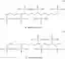 Fig. 33 - Phosphono paraffins