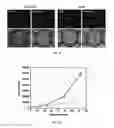 Fig. 05 - CELL CULTURE DEVICE