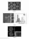 Fig. 06 - CELL CULTURE DEVICE
