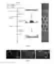 Fig. 08 - CELL CULTURE DEVICE