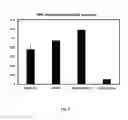 Fig. 04 - Engineered endothelial cells expressing an ETS transcription factor