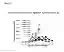 Fig. 03 - DEVICE AND METHOD FOR OBTAINING IMMUNO-STIMULATORY ANTIGEN-PRESENTING CELLS