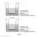Fig. 12 - Induced extended pluripotent stem cells, method of making and using