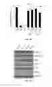 Fig. 16 - Induced extended pluripotent stem cells, method of making and using