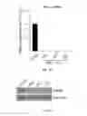 Fig. 19 - Induced extended pluripotent stem cells, method of making and using