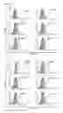Fig. 16 - Cell-permeable reprogramming factor (iCP-RF) recombinant protein and use thereof