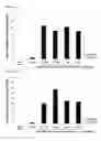 Fig. 76 - Cell-permeable reprogramming factor (iCP-RF) recombinant protein and use thereof