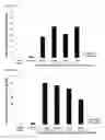 Fig. 77 - Cell-permeable reprogramming factor (iCP-RF) recombinant protein and use thereof