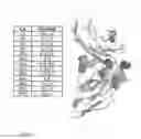 Fig. 07 - High affinity SIRP-alpha reagents and methods of using
