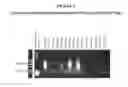 Fig. 03 - Transposase competitor control system