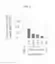 Fig. 07 - Pharmaceutical Composition