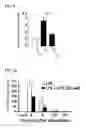 Fig. 06 - Therapeutic agent for a lung disease and/or method for screening for the same