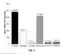 Fig. 06 - Methods for treating neurological disorders using a synergistic small molecule and nucleic acids therapeutic approach