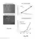 Fig. 06 - Compounds that target MYC microRNA responsive elements for the treatment of MYC-associated cancer