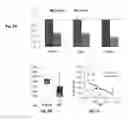 Fig. 32 - Compounds that target MYC microRNA responsive elements for the treatment of MYC-associated cancer