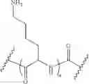 Fig. 17 - Nucleic acid molecules targeting superoxide dismutase 1 (SOD1)