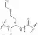 Fig. 18 - Nucleic acid molecules targeting superoxide dismutase 1 (SOD1)