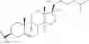 Fig. 26 - Nucleic acid molecules targeting superoxide dismutase 1 (SOD1)