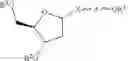 Fig. 34 - Nucleic acid molecules targeting superoxide dismutase 1 (SOD1)