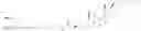Fig. 40 - Nucleic acid molecules targeting superoxide dismutase 1 (SOD1)