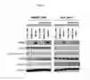 Fig. 09 - Compositions and methods for inhibiting expression of RRM2 genes