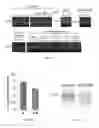 Fig. 04 - Methods of enhancing translation ability of RNA molecules, treatments, and kits