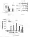Fig. 07 - Methods of enhancing translation ability of RNA molecules, treatments, and kits