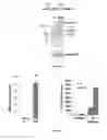 Fig. 10 - Methods of enhancing translation ability of RNA molecules, treatments, and kits