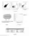 Fig. 17 - Methods of enhancing translation ability of RNA molecules, treatments, and kits