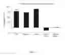 Fig. 08 - Transgenic legumes