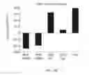 Fig. 22 - Transgenic legumes
