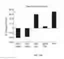 Fig. 25 - Transgenic legumes