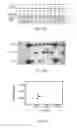 Fig. 35 - Transgenic legumes
