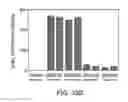 Fig. 44 - Transgenic legumes
