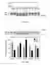 Fig. 45 - Transgenic legumes