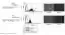 Fig. 01 - IMPROVED NEGATIVE-STRAND RNA VIRAL VECTOR