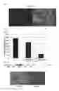Fig. 07 - IMPROVED NEGATIVE-STRAND RNA VIRAL VECTOR