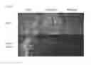 Fig. 16 - IMPROVED NEGATIVE-STRAND RNA VIRAL VECTOR